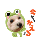 のあのあえりー（個別スタンプ：2）