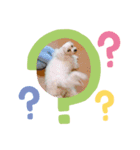 のあのあえりー（個別スタンプ：4）