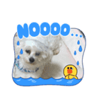 のあのあえりー（個別スタンプ：6）