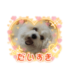 のあのあえりー（個別スタンプ：8）