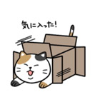 オズにゃんスタンプ（個別スタンプ：1）