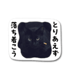 黒猫三昧（個別スタンプ：20）