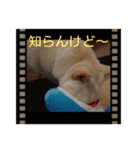 ワン太マメ太の日常2（個別スタンプ：2）