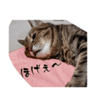 ぴのとE3 2022 冬（個別スタンプ：15）