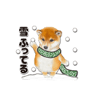 かわいい犬たち冬♡敬語おおめの冬♡柴犬（個別スタンプ：17）
