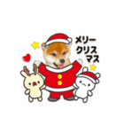 かわいい犬たち冬♡敬語おおめの冬♡柴犬（個別スタンプ：35）