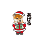 かわいい犬たち冬♡敬語おおめの冬♡柴犬（個別スタンプ：36）
