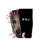 モージーカー（個別スタンプ：3）
