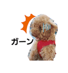 モージーカー（個別スタンプ：5）