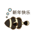 世界のあけおめ＆おさかな(クマノミ)（個別スタンプ：22）