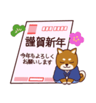 農業女子と柴わんこ(冬・お正月)（個別スタンプ：5）