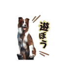 イケダオリバー（個別スタンプ：1）