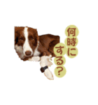イケダオリバー（個別スタンプ：3）