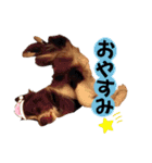 イケダオリバー（個別スタンプ：4）
