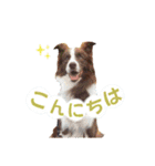 イケダオリバー（個別スタンプ：5）