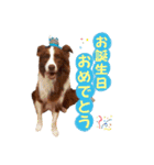 イケダオリバー（個別スタンプ：9）