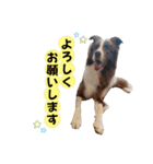 イケダオリバー（個別スタンプ：12）