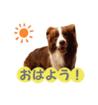 イケダオリバー（個別スタンプ：20）