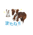 イケダオリバー（個別スタンプ：21）
