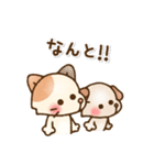 ねこっこ☻いぬっこ日常Stamp（個別スタンプ：28）