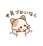 ねこっこ☻いぬっこ日常Stamp（個別スタンプ：29）