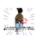 ねろたんスタンプ⑧（個別スタンプ：39）