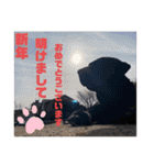 白と黒のラブ2（個別スタンプ：40）