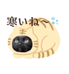 着ぐるみ 黒猫  くまちゃん日常会話（個別スタンプ：2）