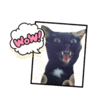 着ぐるみ 黒猫  くまちゃん日常会話（個別スタンプ：17）