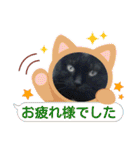 着ぐるみ 黒猫  くまちゃん日常会話（個別スタンプ：27）
