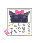 着ぐるみ 黒猫  くまちゃん日常会話（個別スタンプ：32）
