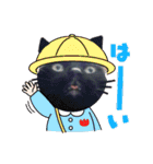 着ぐるみ 黒猫  くまちゃん日常会話（個別スタンプ：39）