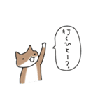 スノボねこ3（個別スタンプ：1）