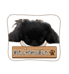 モコマロウニウナギ挨拶文（個別スタンプ：4）