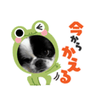 モコマロウニウナギ挨拶文（個別スタンプ：15）