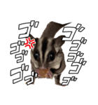 モコマロウニウナギ挨拶文（個別スタンプ：16）