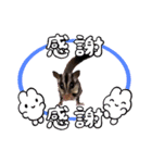 モモンガのウナギ（個別スタンプ：5）