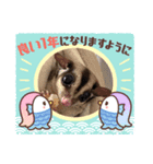 モモンガのウナギ（個別スタンプ：6）