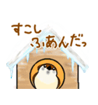 じゃっくとなっしゅ・ふゆだよ！新年だよ！（個別スタンプ：17）