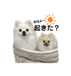 千里専用スタンプ♡（個別スタンプ：2）