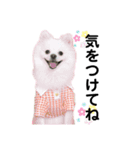 千里専用スタンプ♡（個別スタンプ：4）