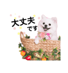 千里専用スタンプ♡（個別スタンプ：5）