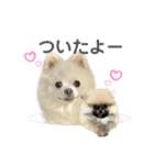 千里専用スタンプ♡（個別スタンプ：6）