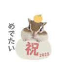 2022年も終わりですね、麦。（個別スタンプ：4）