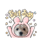 マルプーのにこちゃん☆（個別スタンプ：11）