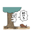 無色の犬スタンプ3（個別スタンプ：24）