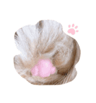 ご指名はぽんすっ（個別スタンプ：3）