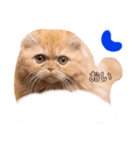 ご指名はぽんすっ（個別スタンプ：6）