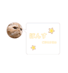 ご指名はぽんすっ（個別スタンプ：8）