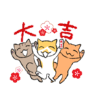 3びきの茶ねこ～お正月＆あいさつ編～（個別スタンプ：17）